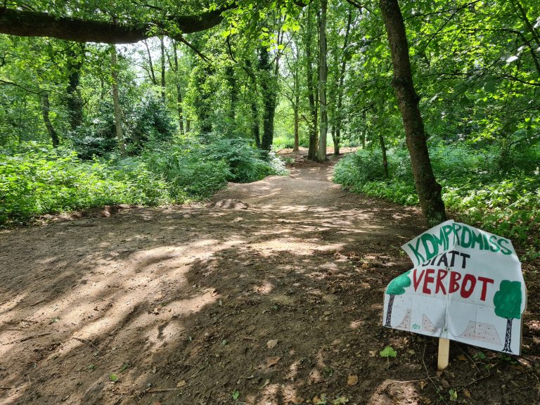 Abriss der Mountainbike-Strecke im Uhlenhorst: Verwaltungshandeln „gefühllos und respektlos“
